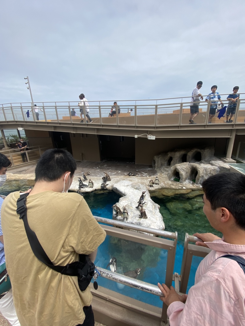 障がい者グループホームKENでの外出や余暇活動の様子